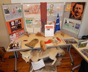 crmc display