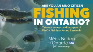 MNO Launches Fish Monitoring Program in Ontario
