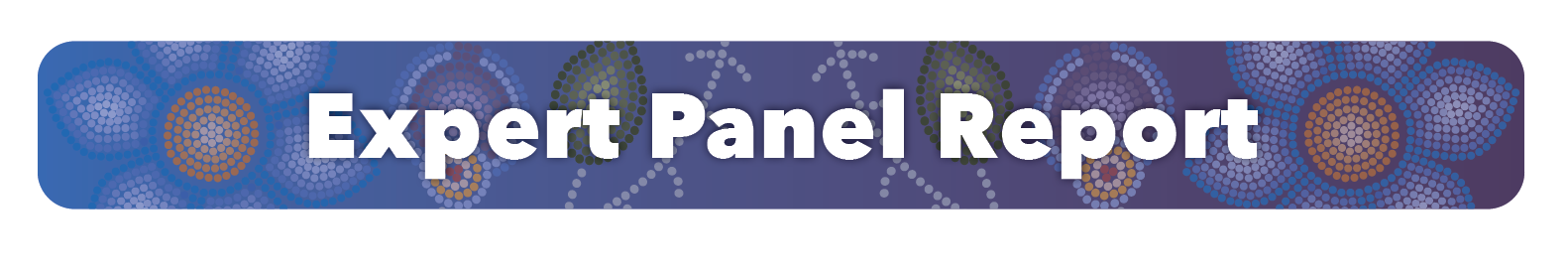 Expert Panel Report